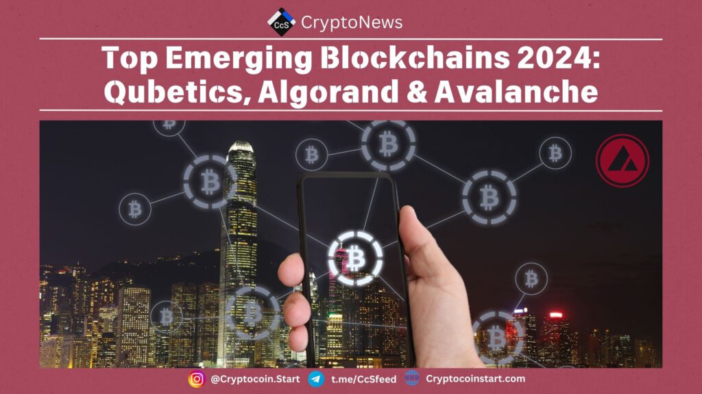 Top Emerging Blockchains 2024: Qubetics, Algorand & Avalanche