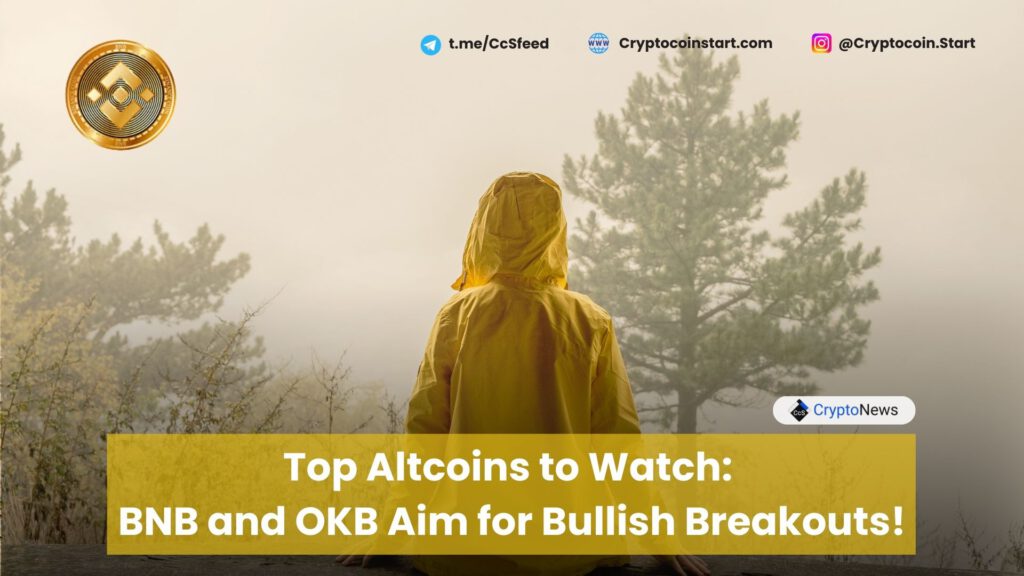 Top Altcoins to Watch: BNB and OKB Aim for Bullish Breakouts!