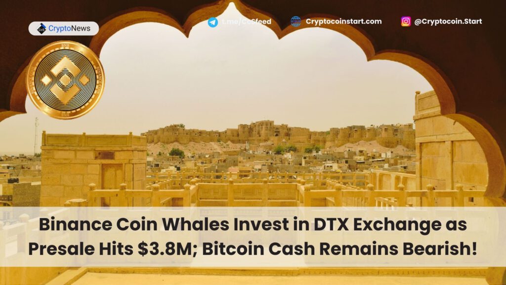 Binance Coin Whales Invest in DTX Exchange as Presale Hits $3.8M; Bitcoin Cash Remains Bearish!