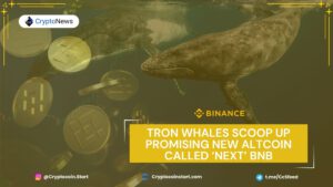 Tron Whales Scoop Up Promising New Altcoin Called ‘Next’ BNB