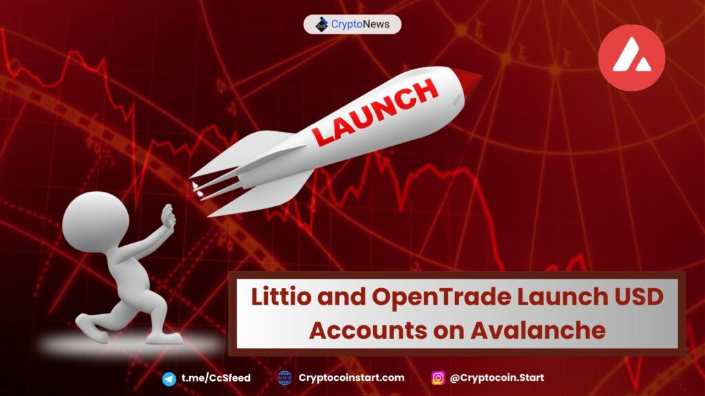 Littio and OpenTrade Launch USD Accounts on Avalanche