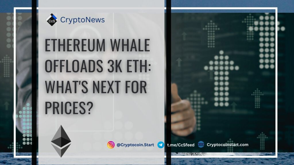 Ethereum Whale Offloads 3K ETH: What's Next for Prices?