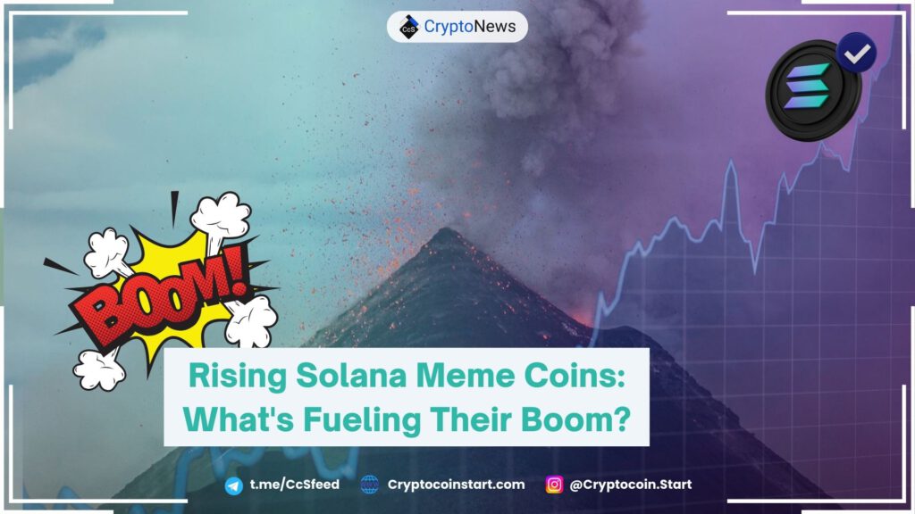 Rising Solana Meme Coins: What's Fueling Their Boom?