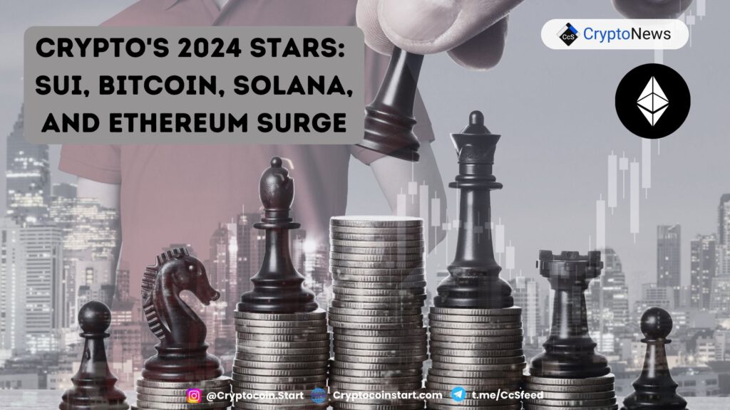 Crypto's 2024 Stars: Sui, Bitcoin, Solana, and Ethereum Surge