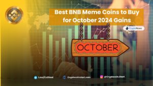 Best BNB Meme Coins to Buy for October 2024 Gains