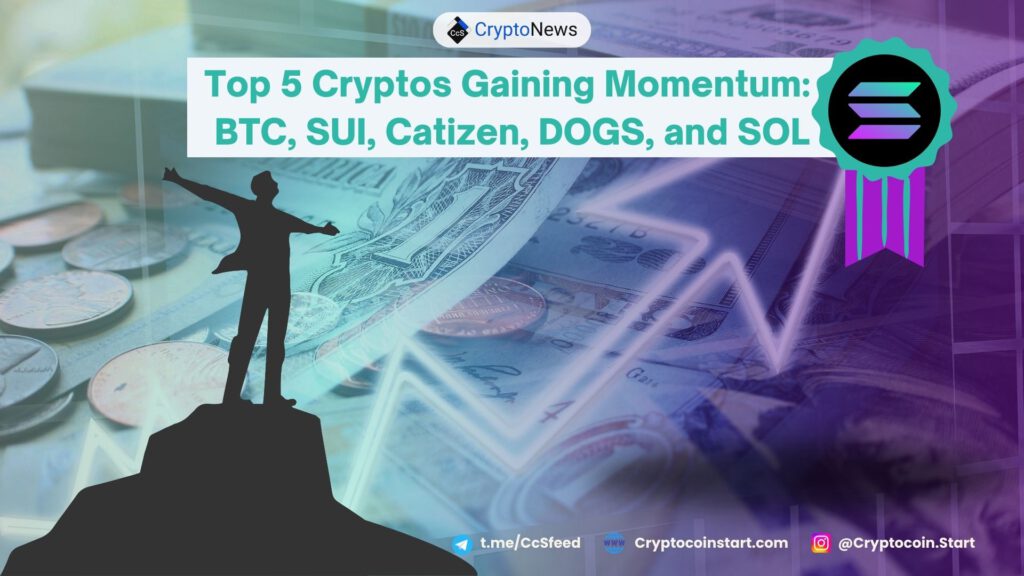 Top 5 Cryptos Gaining Momentum: BTC, SUI, Catizen, DOGS, and SOL