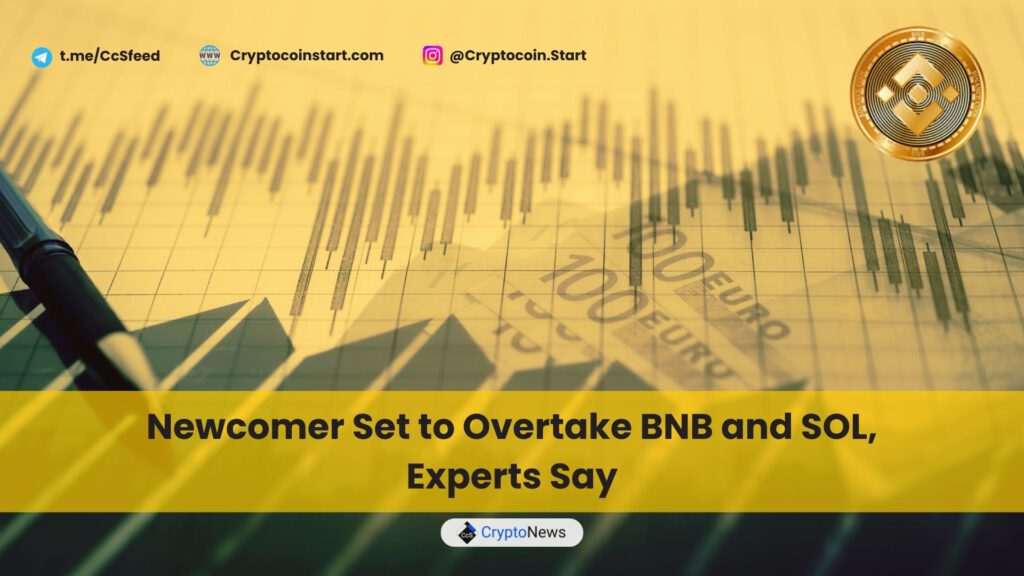 Newcomer Set to Overtake BNB and SOL, Experts Say