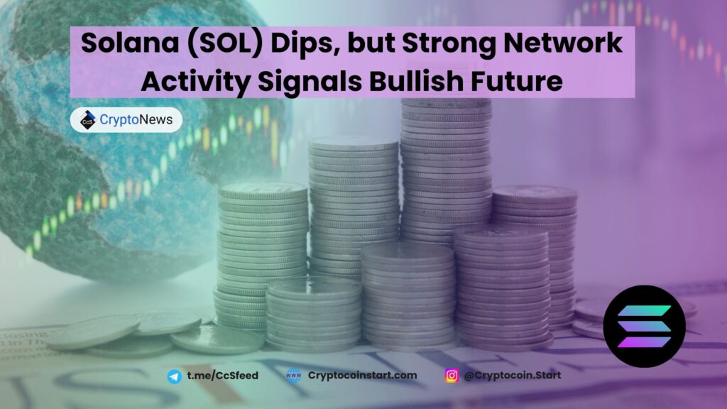 Solana (SOL) Dips, but Strong Network Activity Signals Bullish Future