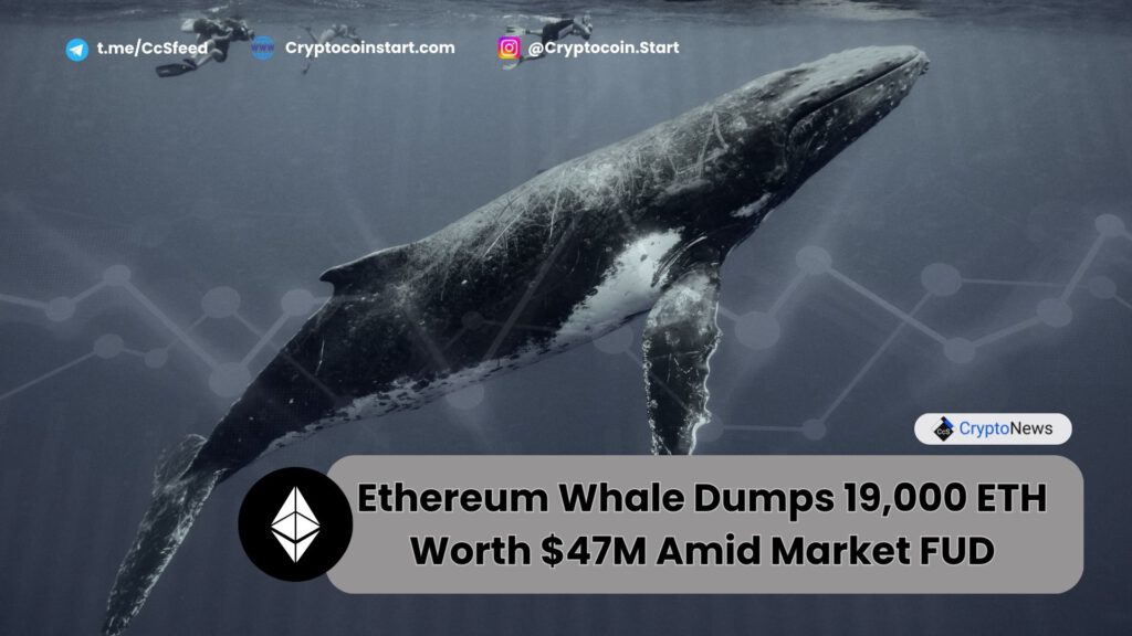 Ethereum Whale Dumps 19,000 ETH Worth $47M Amid Market FUD