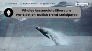Whales Accumulate Ethereum Pre-Election, Bullish Trend Anticipated
