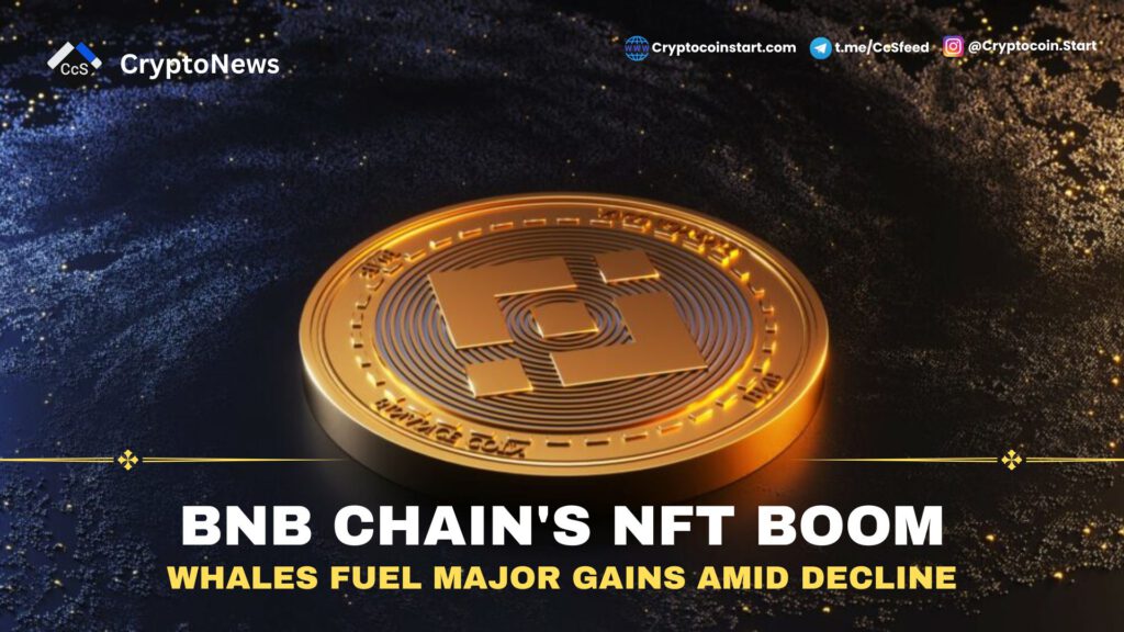 BNB Chain's NFT Boom: Whales Fuel Major Gains Amid Decline