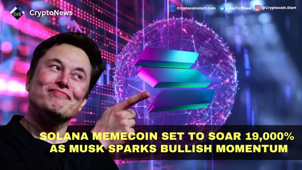 Solana Memecoin Set to Soar 19,000% as Musk Sparks Bullish Momentum