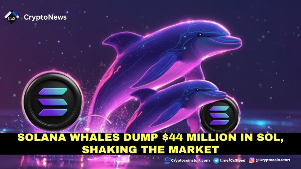 Solana Whales Dump $44 Million in SOL, Shaking the Market