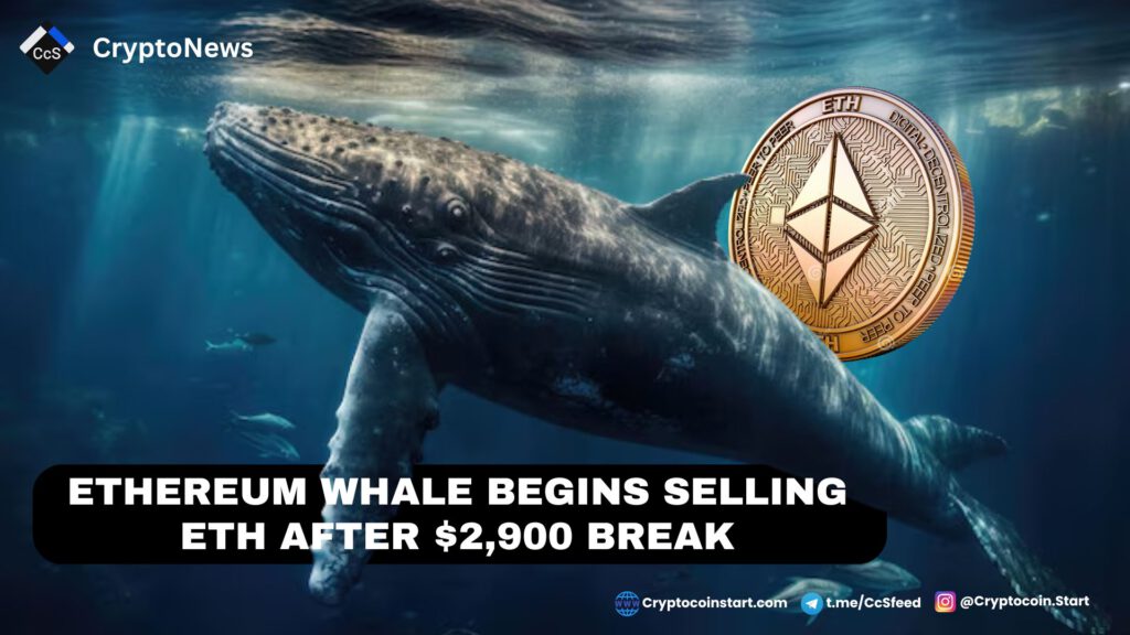 Ethereum Whale Begins Selling ETH After $2,900 Break