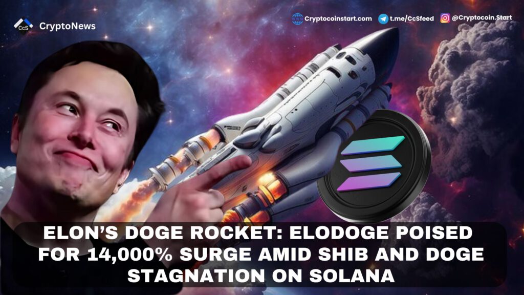 Elon’s Doge Rocket: ELODOGE Poised for 14,000% Surge Amid SHIB and DOGE Stagnation on Solana