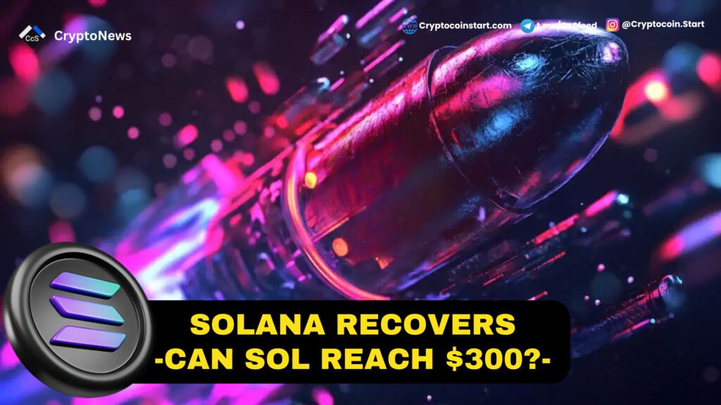 Solana Recovers: Can SOL Reach $300?