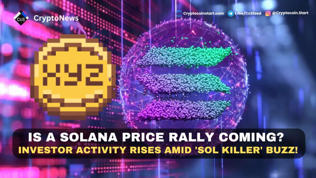 Is a Solana Price Rally Coming? Investor Activity Rises Amid 'SOL Killer' Buzz!