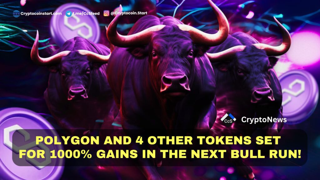 Polygon and 4 Other Tokens Set for 1000% Gains in the Next Bull Run!