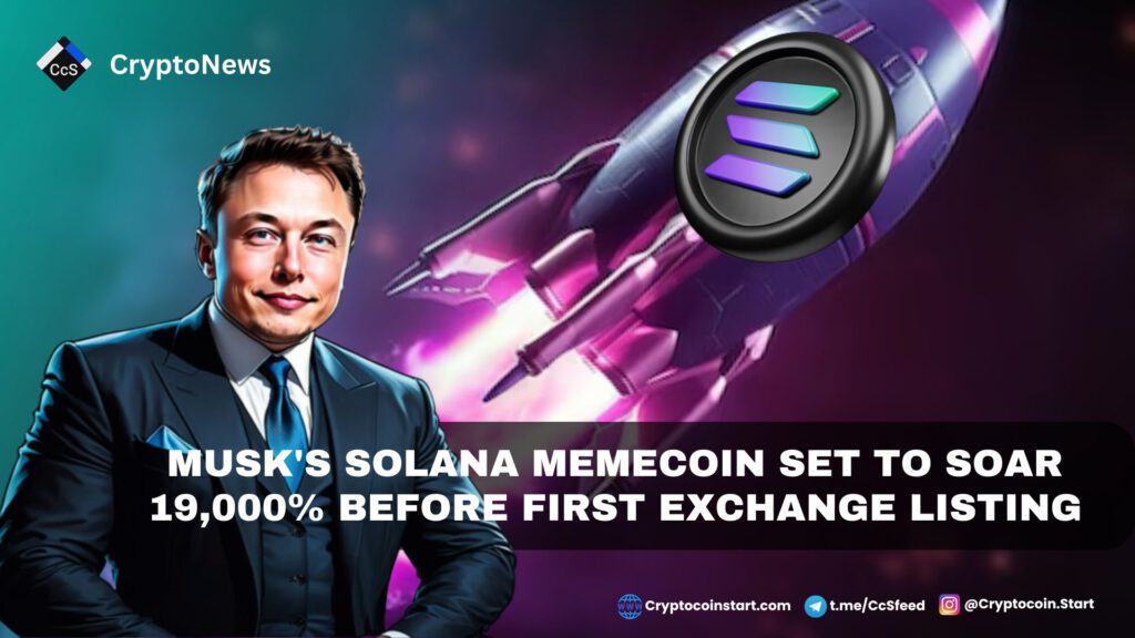 Musk's Solana Memecoin Set to Soar 19,000% Before First Exchange Listing