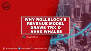 Why Rollblock’s Revenue Model Draws TRX & AVAX Whales