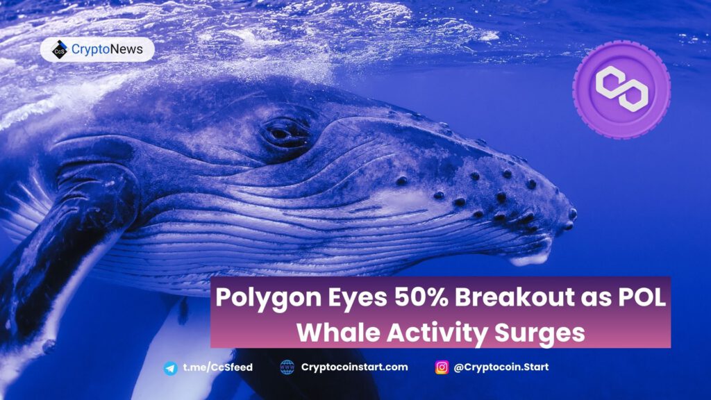 Polygon Eyes 50% Breakout as POL Whale Activity Surges