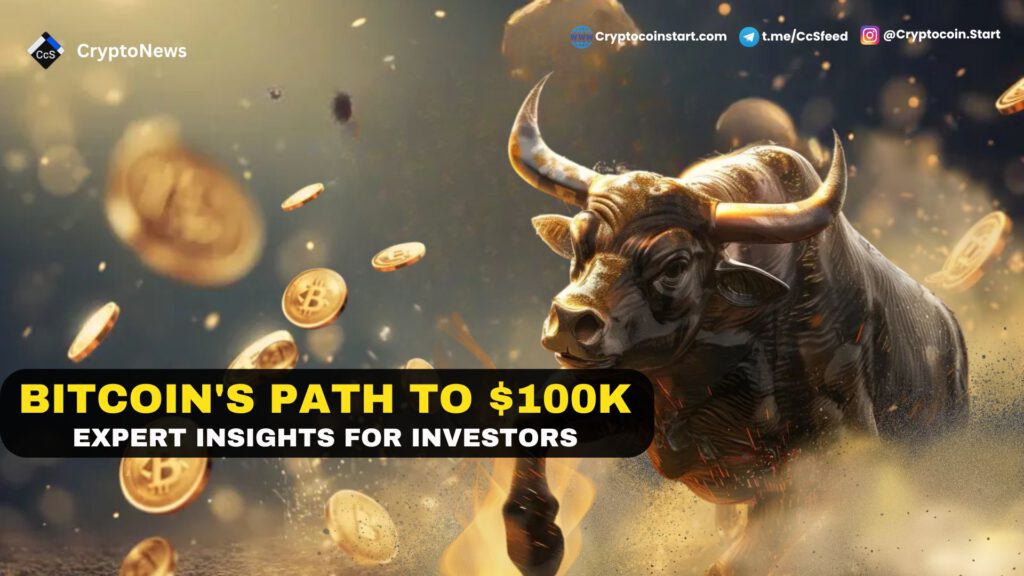 Bitcoin's Path to $100k: Expert Insights for Investors