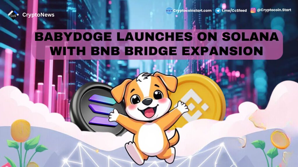 BabyDoge Launches on Solana with BNB Bridge Expansion