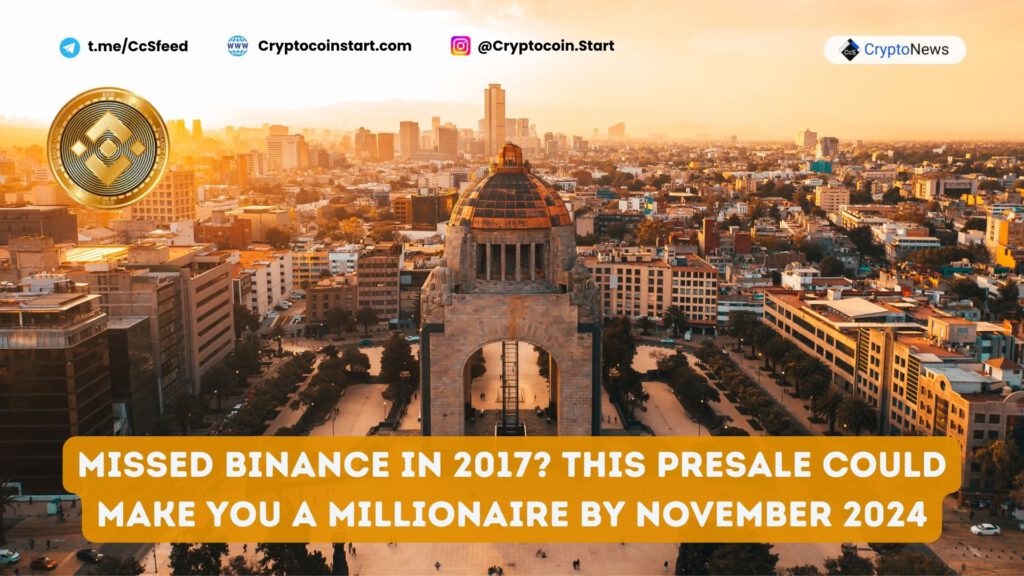 Missed Binance in 2017? This Presale Could Make You a Millionaire by November 2024