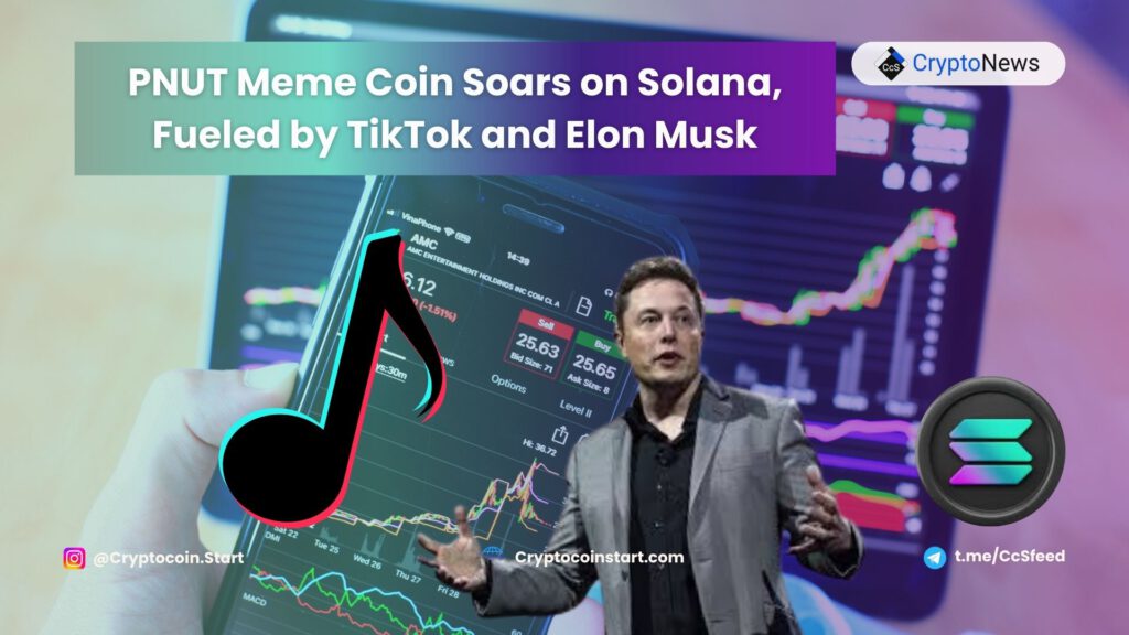 PNUT Meme Coin Soars on Solana, Fueled by TikTok and Elon Musk