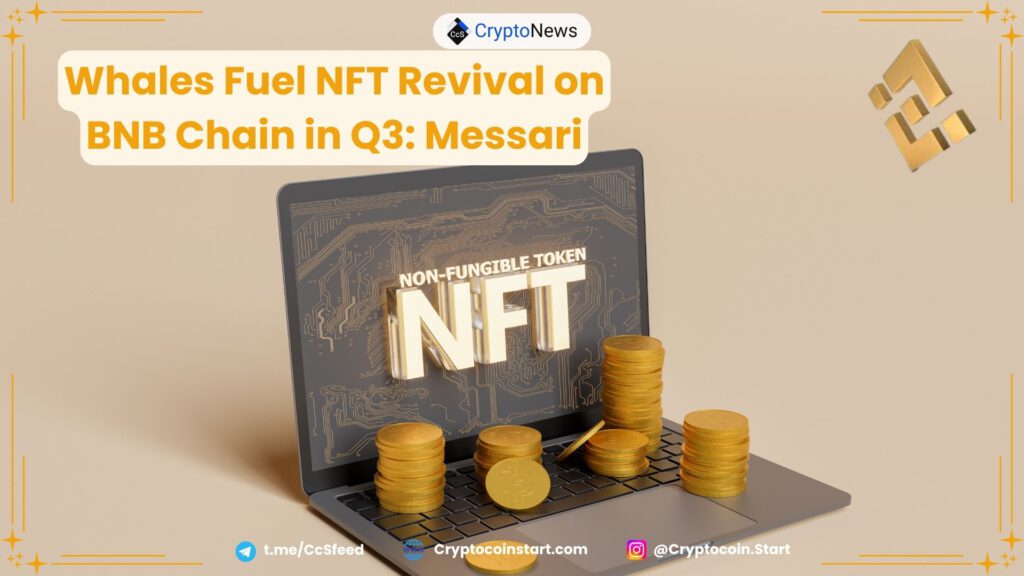 Whales Fuel NFT Revival on BNB Chain in Q3: Messari