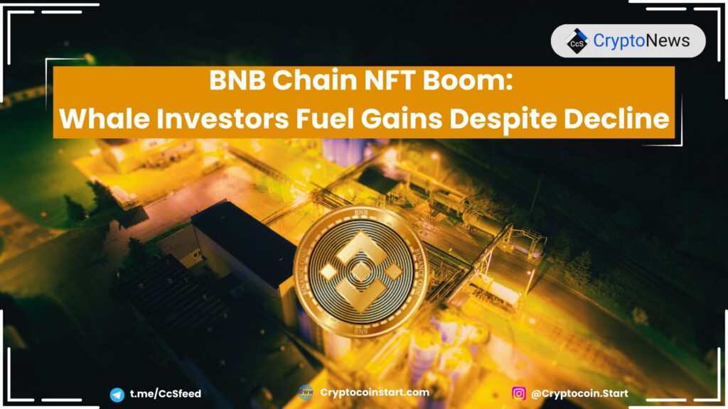 BNB Chain NFT Boom: Whale Investors Fuel Gains Despite Decline