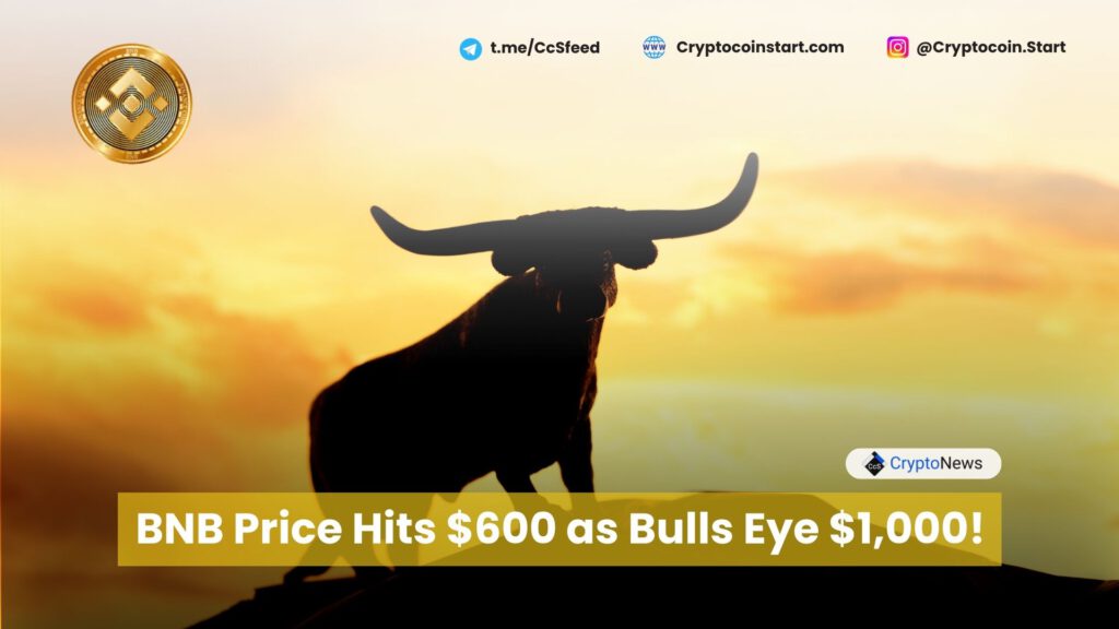 BNB Price Hits $600 as Bulls Eye $1,000!