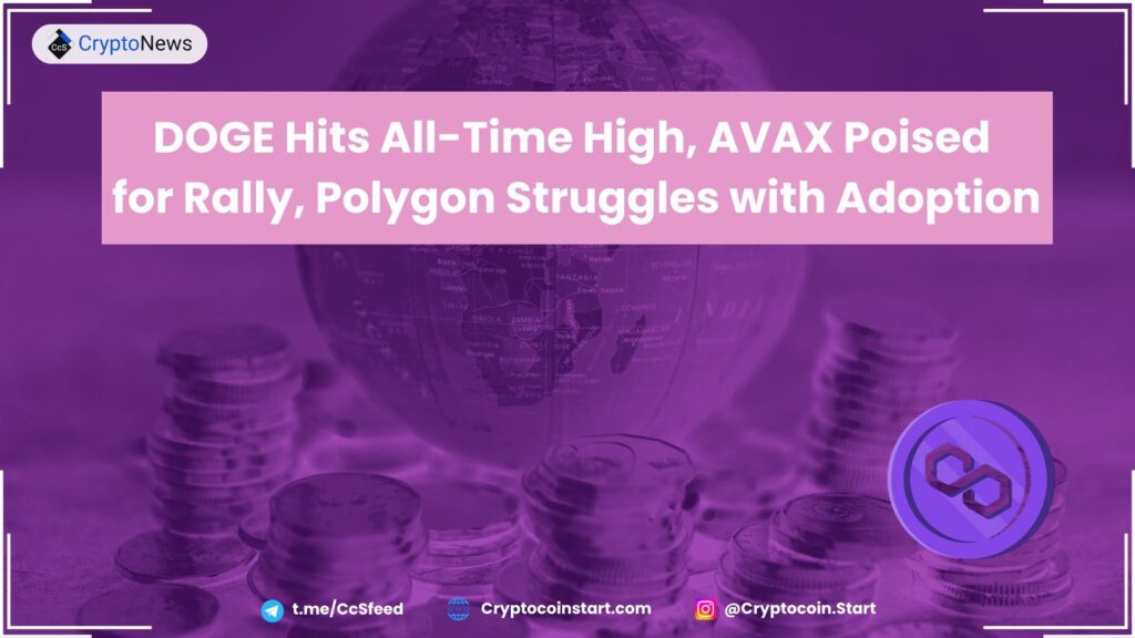 DOGE Hits All-Time High, AVAX Poised for Rally, Polygon Struggles with Adoption