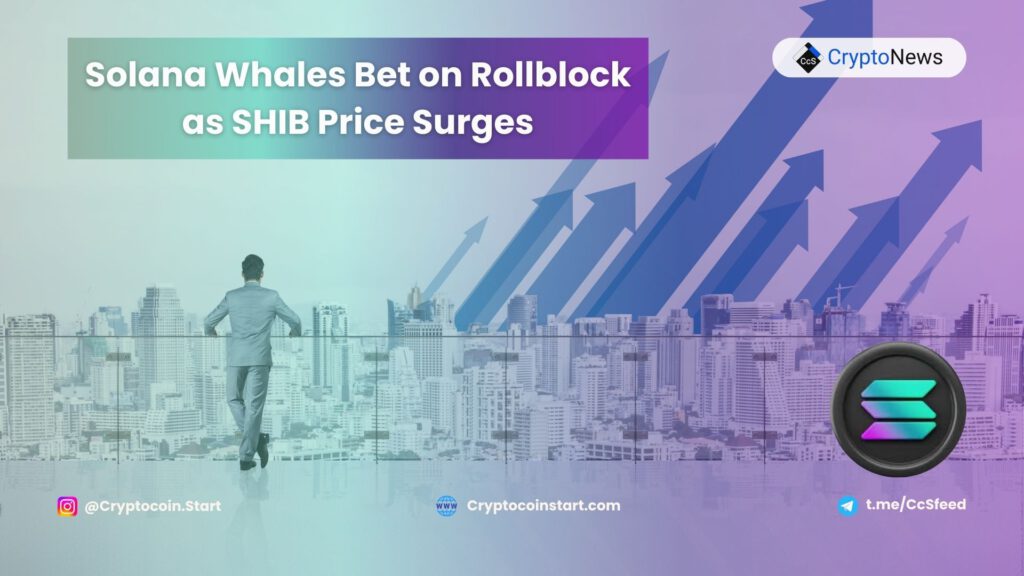 Solana Whales Bet on Rollblock as SHIB Price Surges