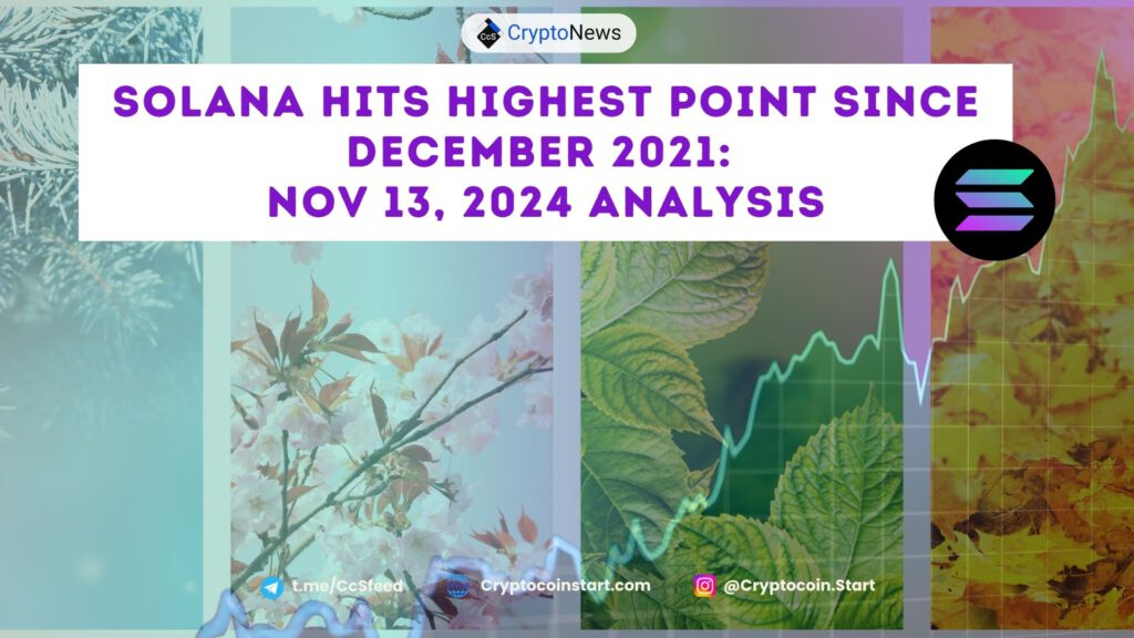 Solana Hits Highest Point Since December 2021: Nov 13, 2024 Analysis