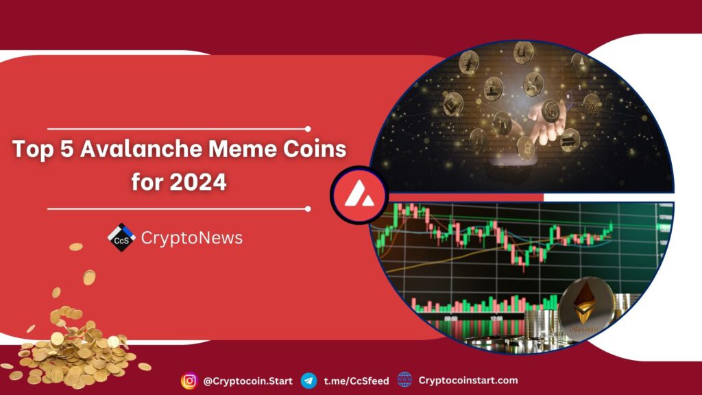 Top 5 Avalanche Meme Coins for 2024