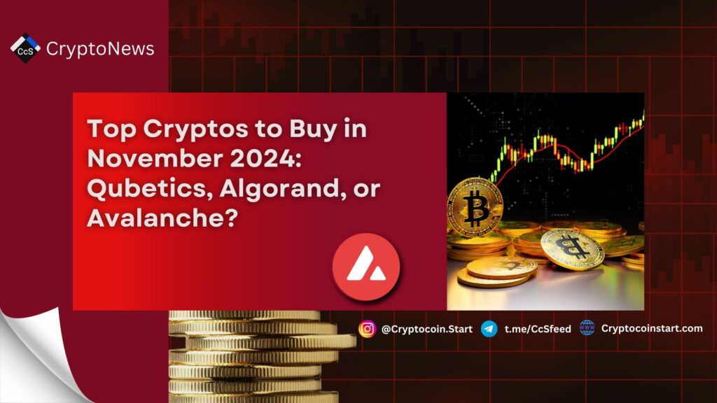 Top Cryptos to Buy in November 2024: Qubetics, Algorand, or Avalanche?