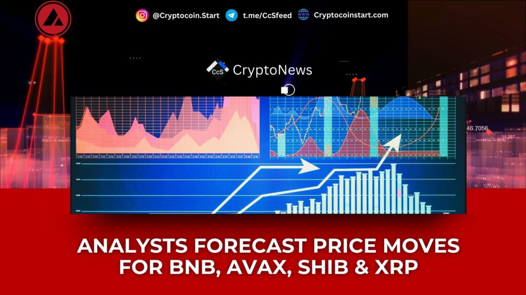 Analysts Forecast Price Moves for BNB, AVAX, SHIB & XRP