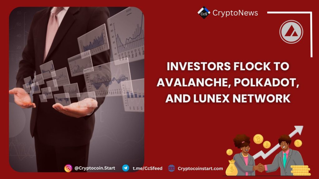 Investors Flock to Avalanche, Polkadot, and Lunex Network