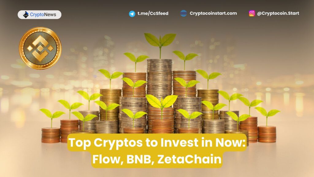 Top Cryptos to Invest in Now: Flow, BNB, ZetaChain