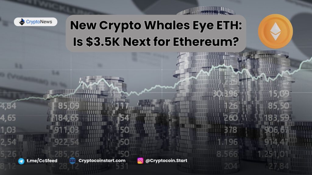 New Crypto Whales Eye ETH: Is $3.5K Next for Ethereum?