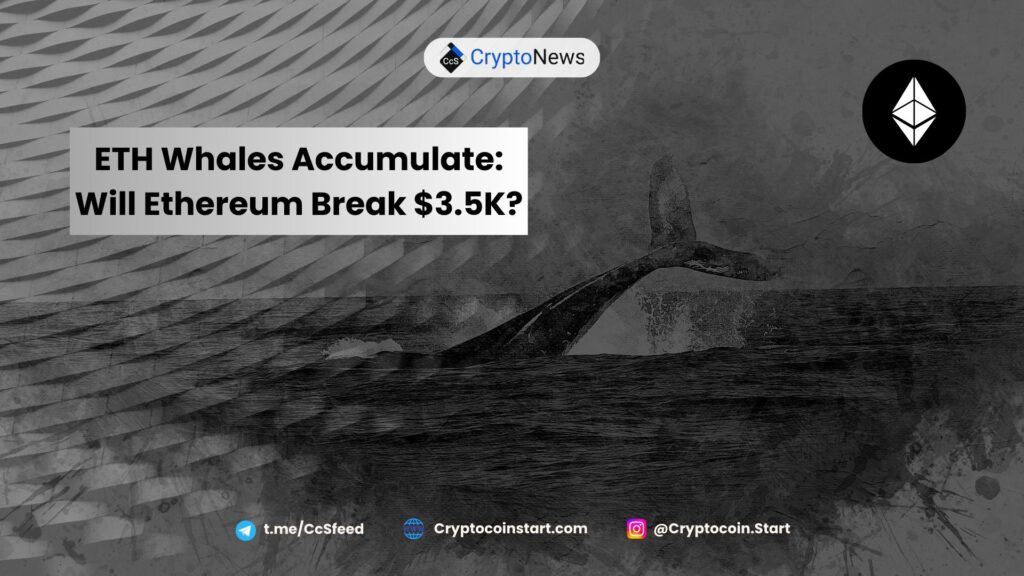 ETH Whales Accumulate: Will Ethereum Break $3.5K?