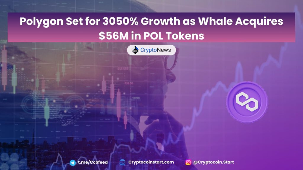 Polygon Set for 3050% Growth as Whale Acquires $56M in POL Tokens