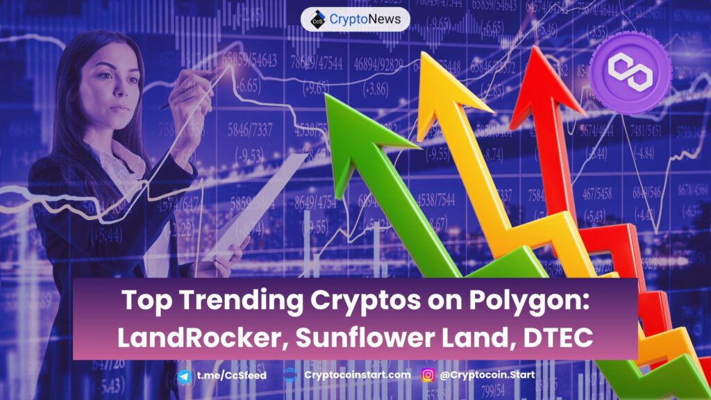 Top Trending Cryptos on Polygon: LandRocker, Sunflower Land, DTEC