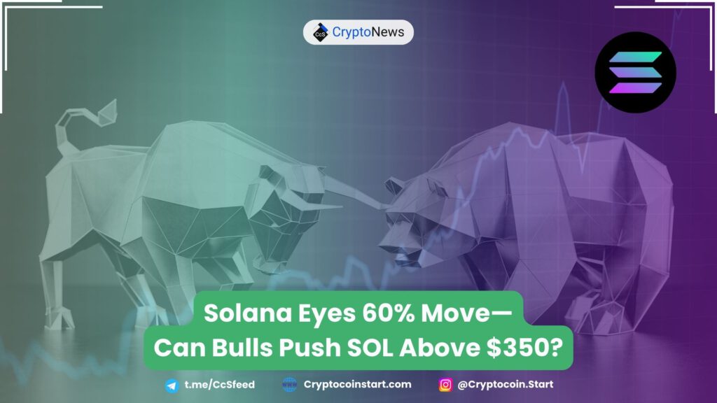 Solana Eyes 60% Move—Can Bulls Push SOL Above $350?