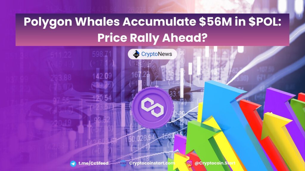 Polygon Whales Accumulate $56M in $POL: Price Rally Ahead?