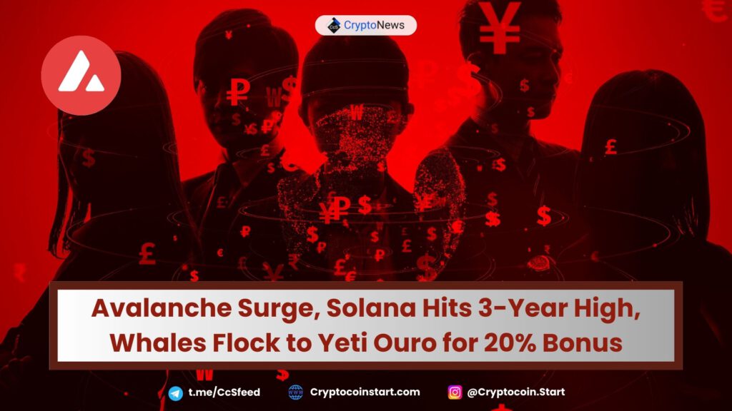 Avalanche Surge, Solana Hits 3-Year High, Whales Flock to Yeti Ouro for 20% Bonus