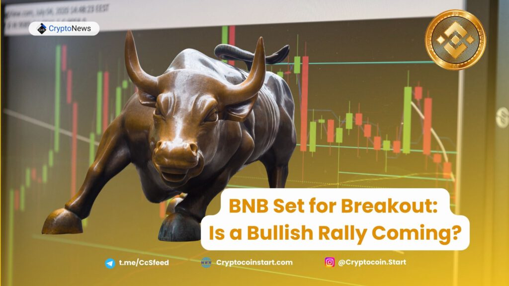 BNB Set for Breakout: Is a Bullish Rally Coming?