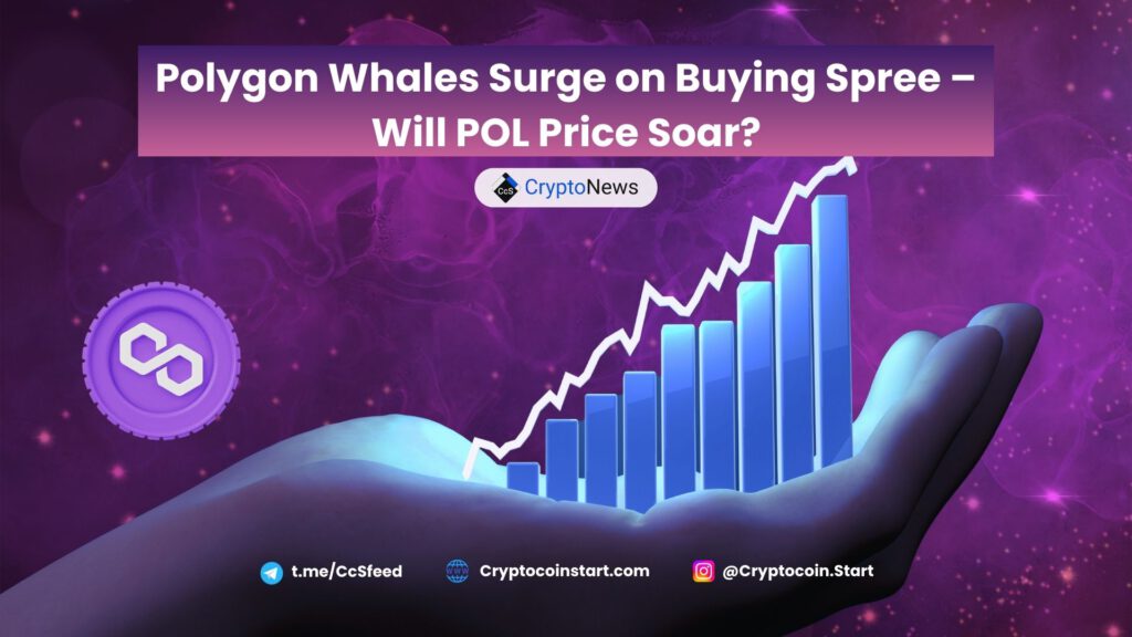 Polygon Whales Surge on Buying Spree – Will POL Price Soar?