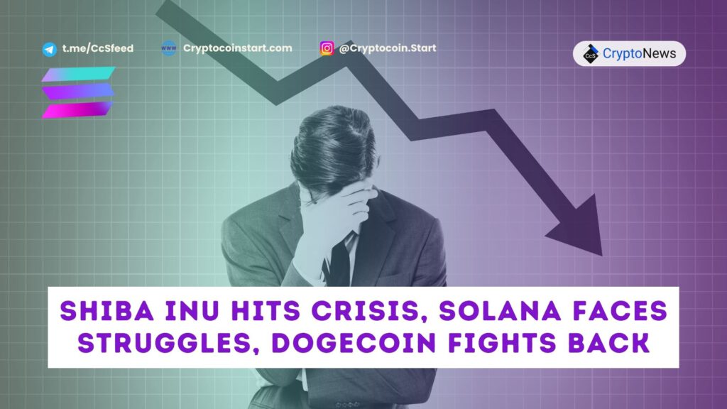 Shiba Inu Hits Crisis, Solana Faces Struggles, Dogecoin Fights Back